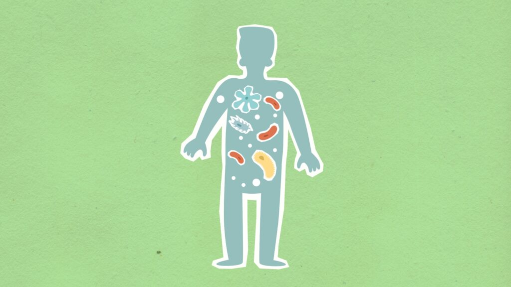 From above of cutout cardboard illustration of person with different bacteria spreading in body on green background